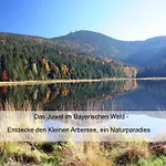 Zur Linde - Bayerischer Wald - Aktivcard Mit 154 Kostenfreien Leistungen - Kostenloser Parkplatz