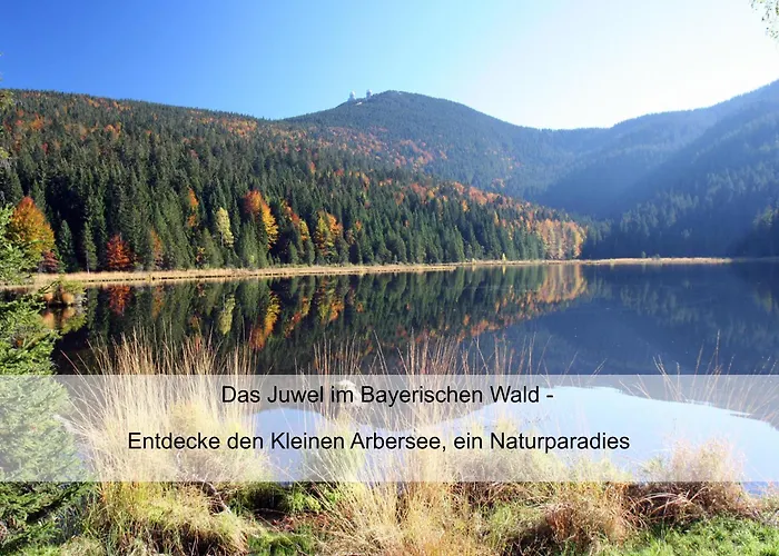 Zur Linde - Bayerischer Wald - Aktivcard Mit 154 Kostenfreien Leistungen - Kostenloser Parkplatz