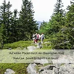 Hotel Zur Linde - Bayerischer Wald - Aktivcard Mit 154 Kostenfreien Leistungen - Kostenloser Parkplatz 3*