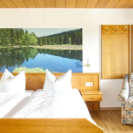 Garnihotel Zur Linde - Bayerischer Wald - Aktivcard Mit 154 Kostenfreien Leistungen - Kostenloser Parkplatz Lohberg