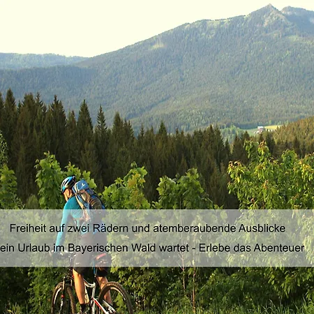 Zur Linde - Bayerischer Wald - Aktivcard Mit 154 Kostenfreien Leistungen - Kostenloser Parkplatz 3* Lohberg