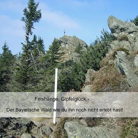 Garnihotel Zur Linde - Bayerischer Wald - Aktivcard Mit 154 Kostenfreien Leistungen - Kostenloser Parkplatz 3* 로베르크