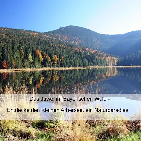 Zur Linde - Bayerischer Wald - Aktivcard Mit 154 Kostenfreien Leistungen - Kostenloser Parkplatz