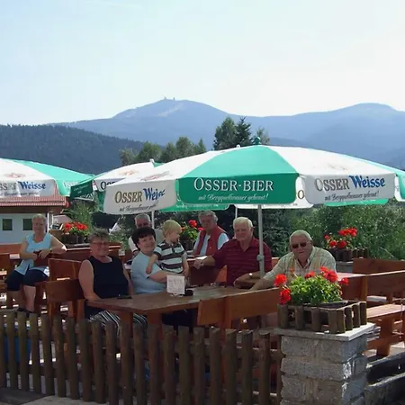 Garnihotel Zur Linde 3* Lohberg