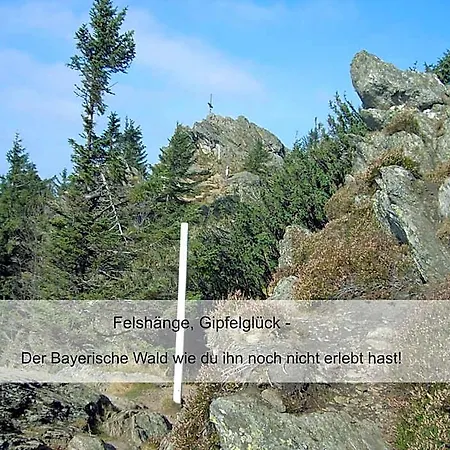 Zur Linde - Bayerischer Wald - Aktivcard Mit 154 Kostenfreien Leistungen - Kostenloser Parkplatz ホテル 3*