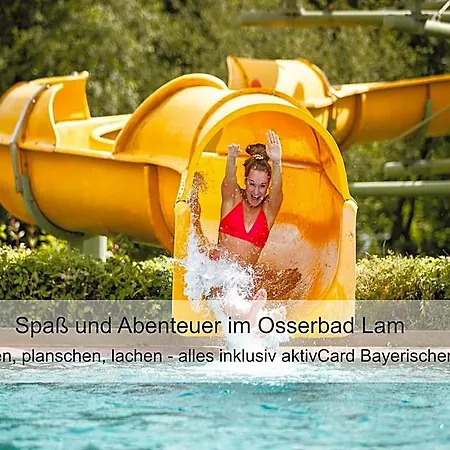 ホテル Zur Linde - Bayerischer Wald - Aktivcard Mit 154 Kostenfreien Leistungen - Kostenloser Parkplatz