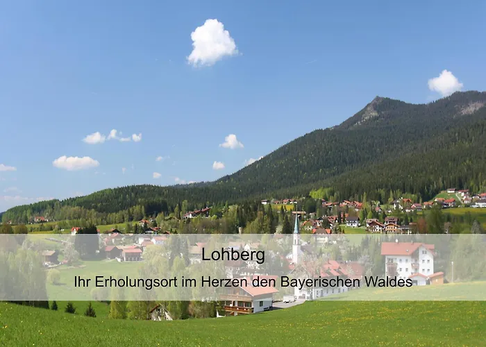 Otel Zur Linde - Bayerischer Wald - Aktivcard Mit 154 Kostenfreien Leistungen - Kostenloser Parkplatz